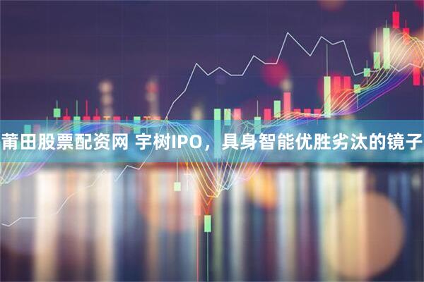 莆田股票配资网 宇树IPO，具身智能优胜劣汰的镜子