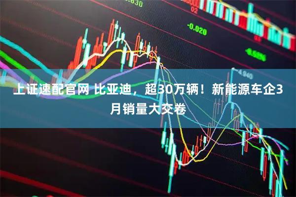 上证速配官网 比亚迪，超30万辆！新能源车企3月销量大交卷