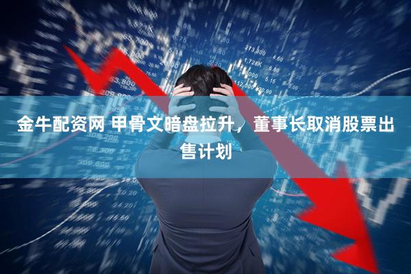 金牛配资网 甲骨文暗盘拉升，董事长取消股票出售计划